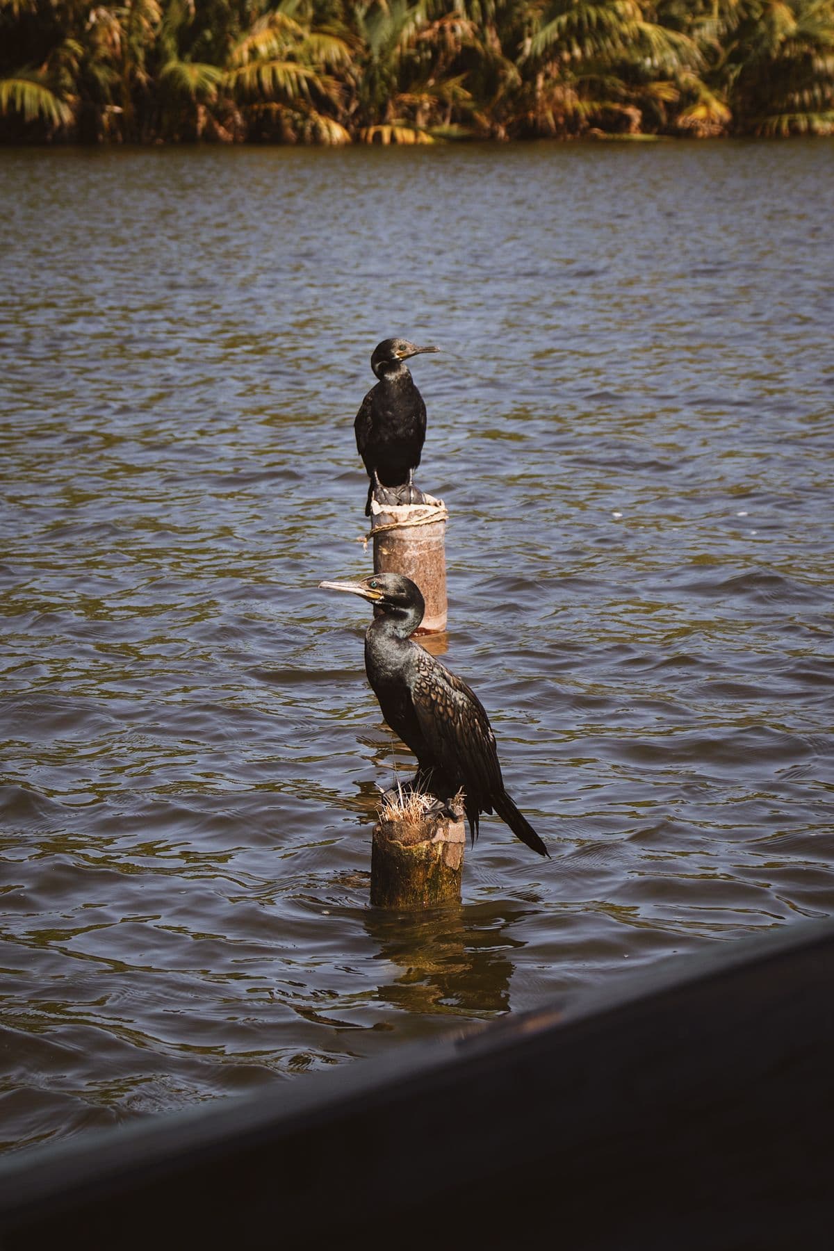 Bundala National Park