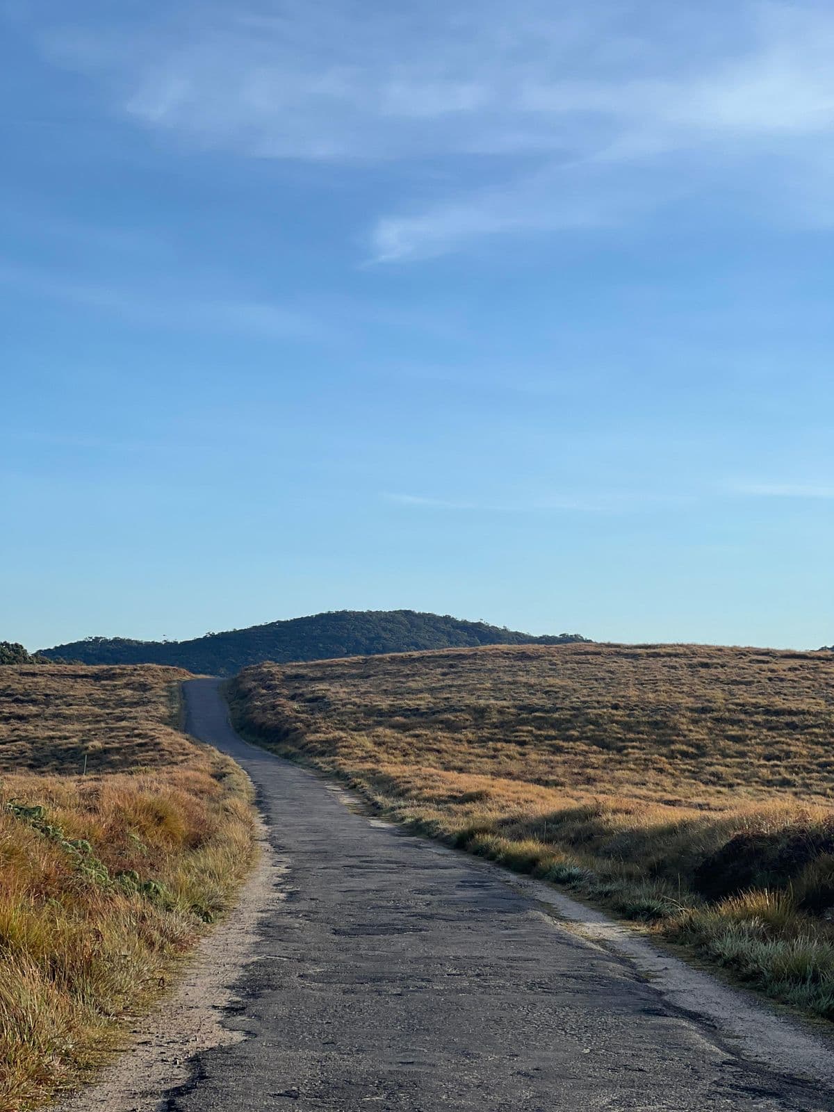 Horton Plains