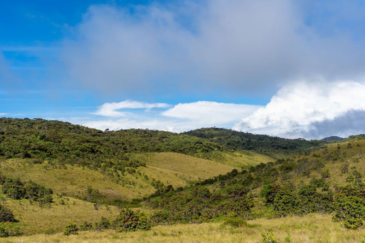 Horton Plains